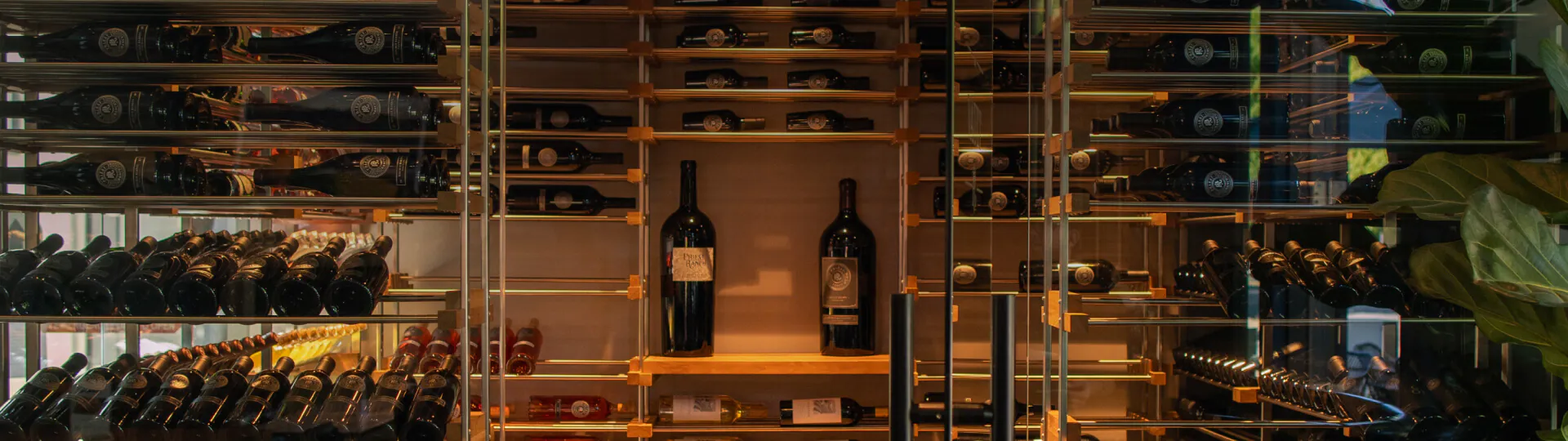 wine bottles wall display