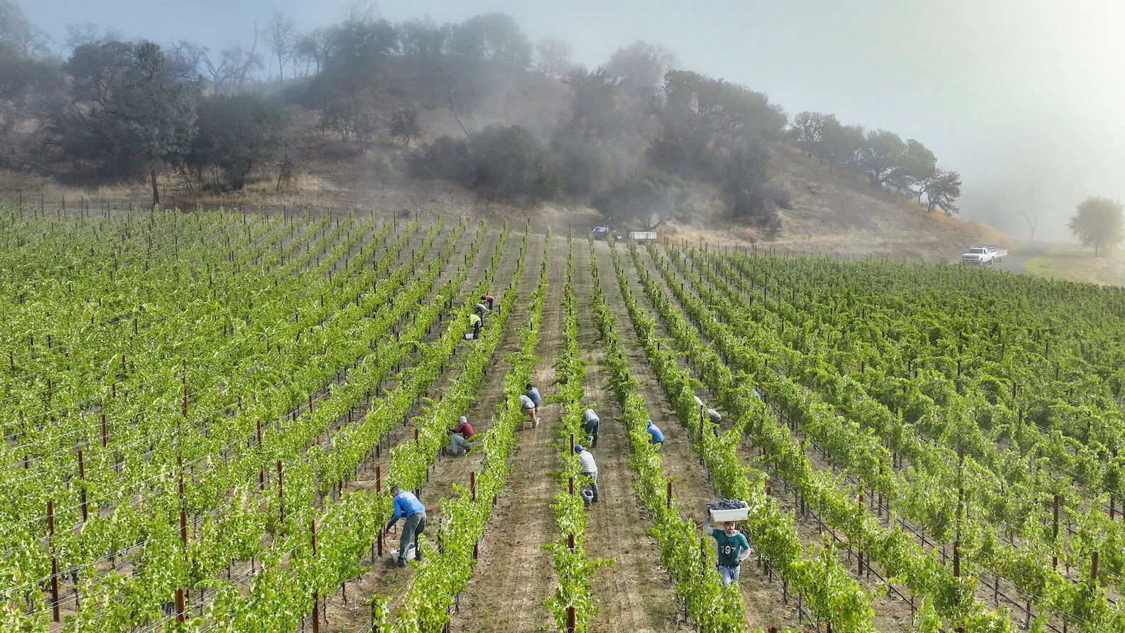 open field workers in fields