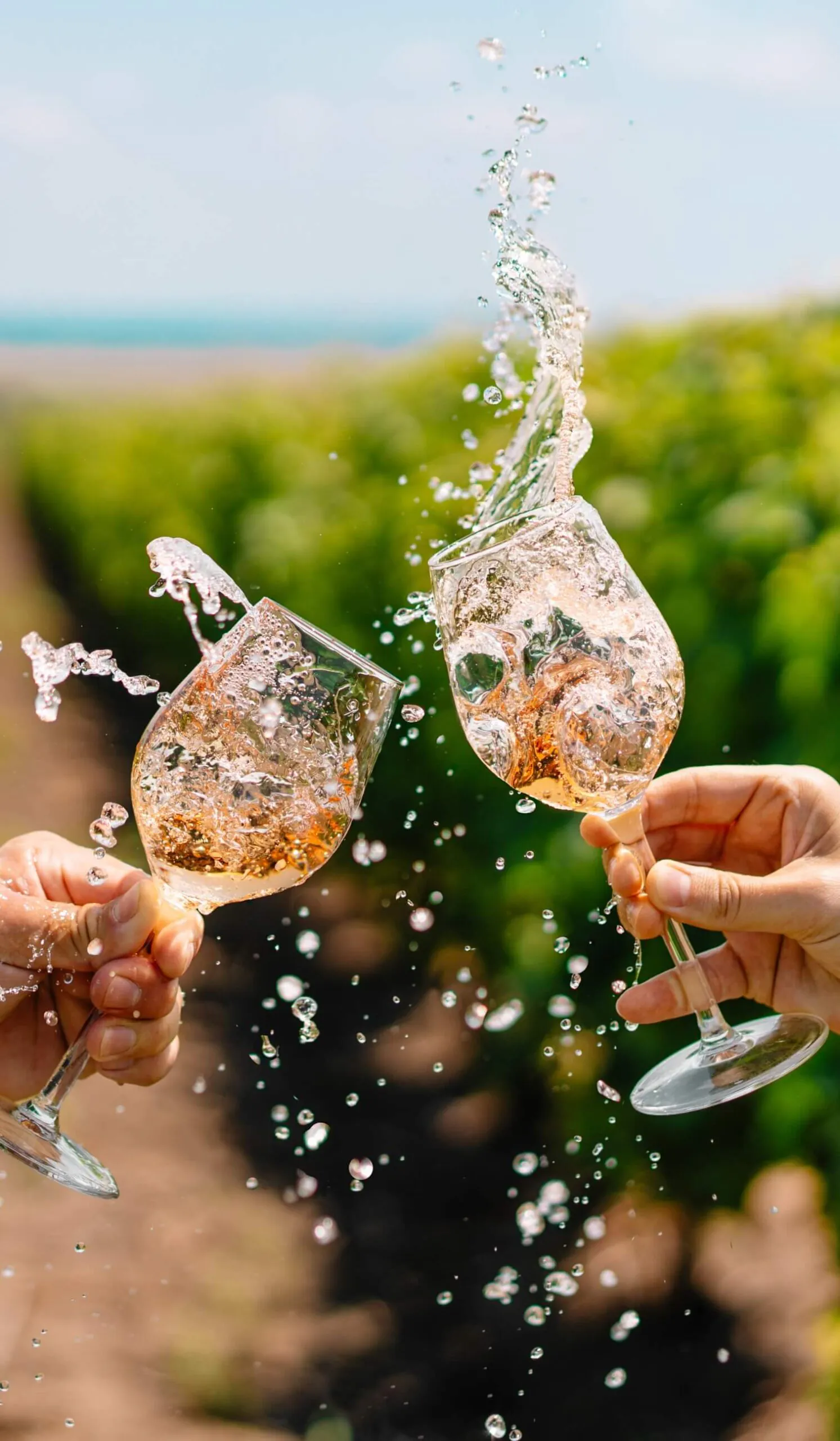 wine glasses vigorously clinking each other